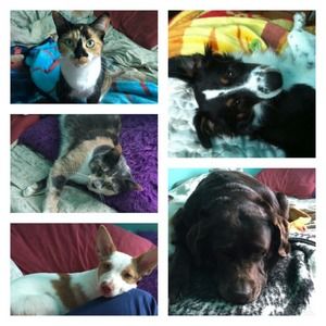 Meet your Posher, Ashley